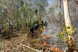 Hutan Milik Perhutani di Ponorogo Terbakar