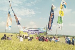 Pupuk NPK Pelangi Tingkatkan Produksi Padi di Jember