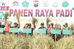 Sidoarjo Targetkan Sasaran Tanam Padi 15.354 Hektare