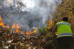 Hutan Dua Hektare di Ponorogo Terbakar