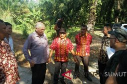 DPRD Sumut tinjau bronjong dan benteng