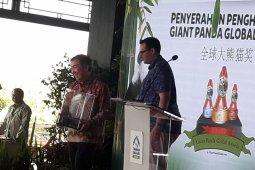 Panda jantan TSI Cisarua peroleh penghargaan terfavorit (Video)