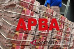 Wakil Rektor apresiasi penetapan APBA awal waktu