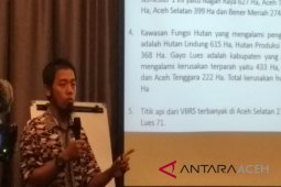 3.290 hektare hutan KEL rusak sepanjang 2018