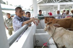 Pemkab Asahan Jamin hewan kurban berkualitas di Pasar Ternak