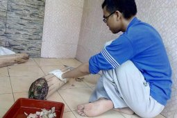 Eta Pisan, Solusi Peningkat Pertumbuhan Larva Ikan Nila Ala Mahasiswa IPB