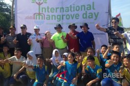 Gubernur Babel jadikan konservasi mangrove di Pantai Rebo destinasi ekowisata
