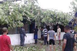 Warga Manokwari diimbau waspadai angin kencang