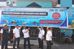 BKIPM Sumut himbau masyarakat menyerahkan ikan-ikan berbahaya