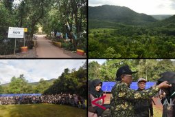 ULM trusted to manage forest for education and training