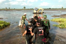 Bupati Kerahkan warga garap lahan 750 hektare