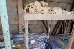 Kemplang bakar, enak disantap selagi hangat