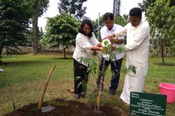 Kebun raya tambah koleksi dari Sri Lanka