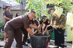 Hijaukan wilayah kantor Kejari HSS tanam pohon