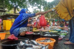 Pasokan Ikan Laut di Bojonegoro Menurun Drastis