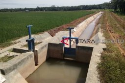 13 hektare cetak sawah di perkebunan sawit