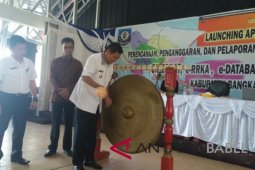 Pemkab Bangka Selatan luncurkan aplikasi P4DT