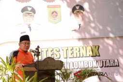 Populasi ternak Lombok Utara meningkat 64 persen