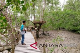 Balai perhutanan sosial ajak masyarakat manfaatkan hutan