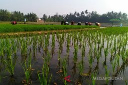 Badan Karantina Pertanian kampanyekan gerakan percepatan tanam