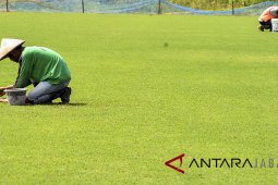 Perbaikan rumput stadion Pajajaran Bogor