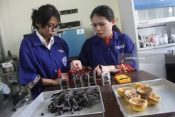 Reaktor Electricity Production from Microorganism