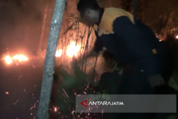 Hutan Jati di Situbondo Diduga Dibakar (Video)