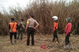 Sembilan Kecamatan di Tanah Bumbu rawan Karhutla