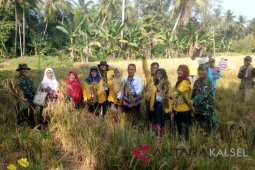 Koramil 1003-04  laksanakan intruksi Dandim Kandangan dampingi petani