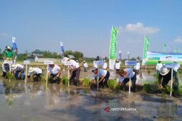Petrokimia Dan Jasindo Luncurkan Program Cerdastani