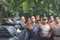 Polisi Langkat amankan 250 kilogram ganja