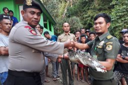 BKSDA dan pemangku kepentingan perangi kejahatan TSL