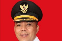 Andi Suhaimi resmi menjabat Plt Bupati Labuhanbatu