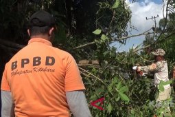 BPBD Kotabaru temukan 12 titik rawan bencana
