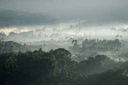 Penurunan suhu Jabar pengaruhi musim di Australia