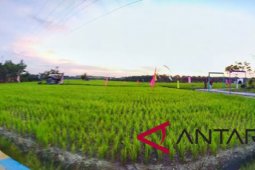 Inisiator destinasi pertanian pelangi lolos sebagai pemuda pelopor pariwisata