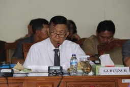 Gubernur Bali harapkan RPJMD responsif dengan zaman