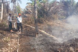 BPBD: 103 hektare lahan di Jambi terbakar
