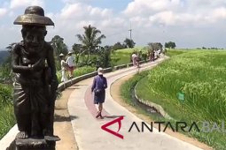 Tabanan tambah wahana "tracking" wisata hamparan sawah Jatiluwih (video)