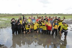 Gubernur tanam padi bersama ASN