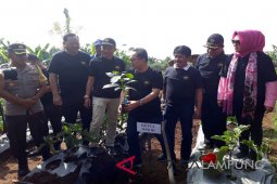 Ketua MPR ingatkan pemerintah perhatikan nasib petani