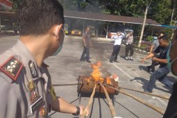 Polisi bakar 100,6 kg ganja