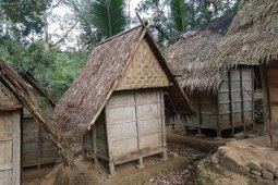 Petani badui siap panen raya padi huma