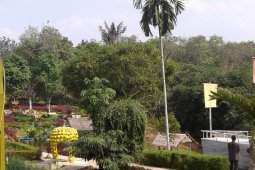 Taman Talang Bukit Berbunga wisata alternatif di Batanghari