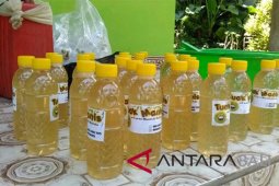 Tuak manis dari Desa Munduk Bestala-Buleleng