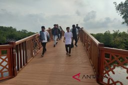 Destinasi wisata taman hutan mangrove kian bergeliat