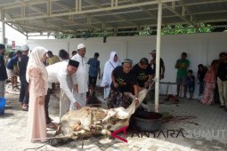 Minat masyarakat Labura berkurban meningkat