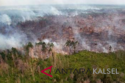 Kebakaran lahan Kalsel lebih seribu hektare