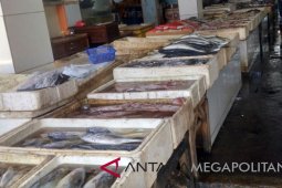 Hasil tangkapan ikan laut di Palabuhanratu anjlok