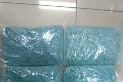 Anggota DPRD Langkat memiliki 30 ribu butir ekstasi